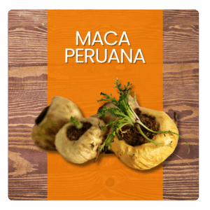 maca peruana